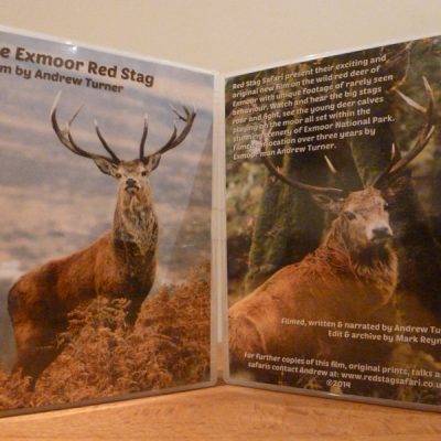 Exmoor Red Stag DVD